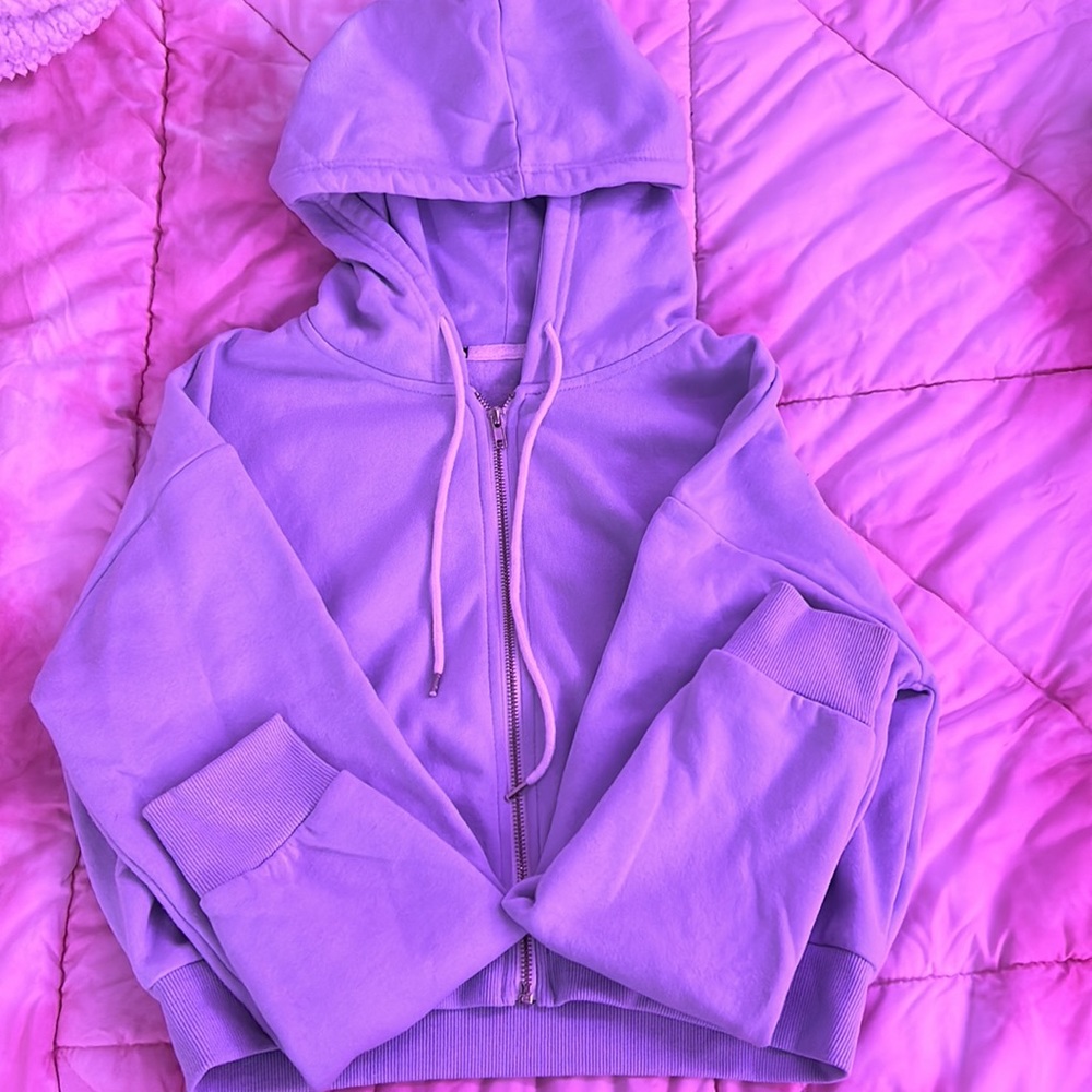 Pacsun cropped zip up 🩵